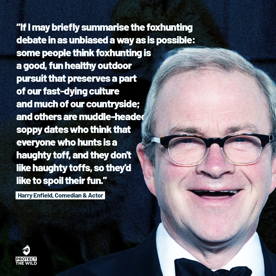 Protect the Wild tweet media