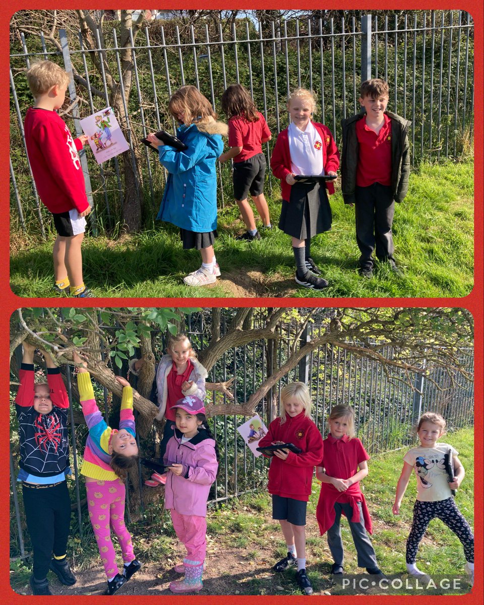 🌿Amser Antur 🌳