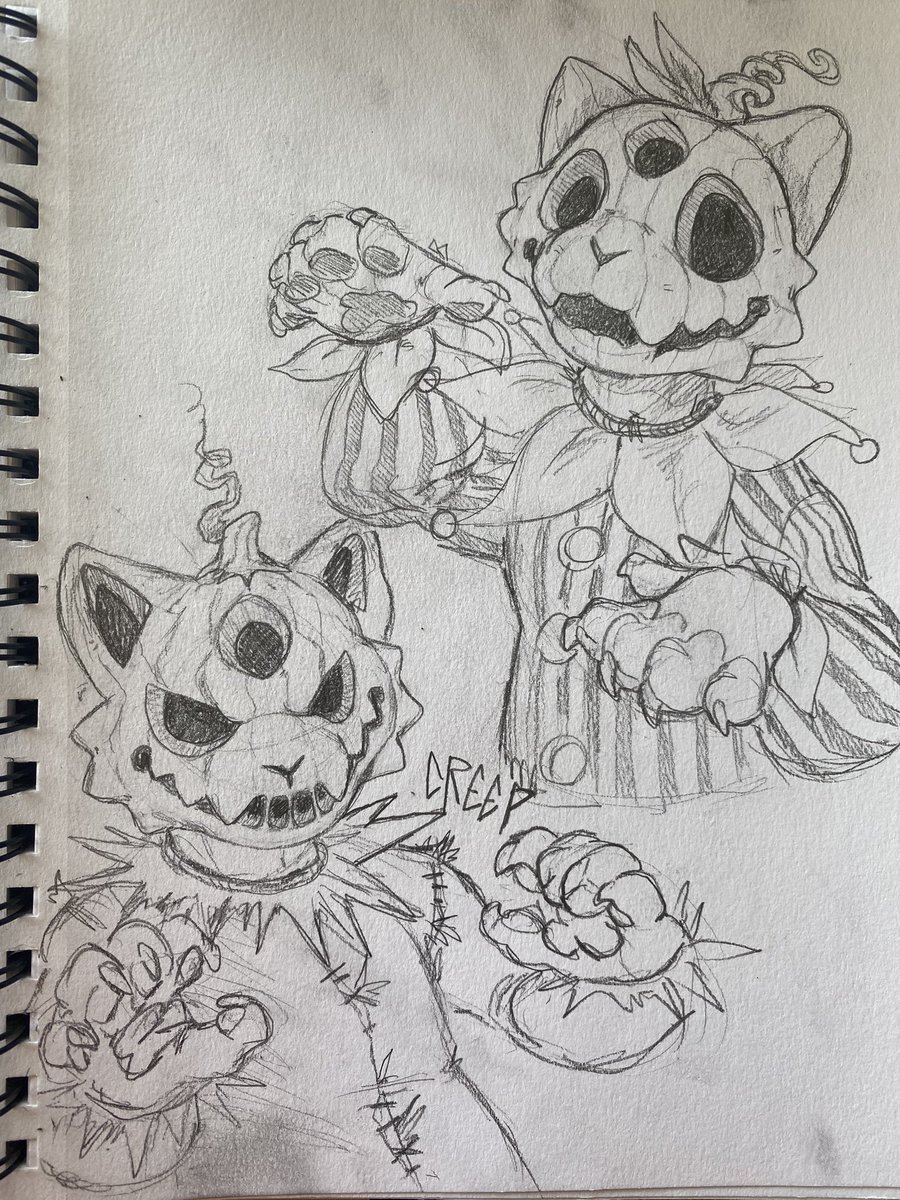 Some fun pumpkin cats 🎃