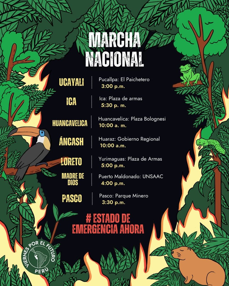 Marchas a nivel nacional, para exigir Estado de Emergencia, para que se tomen las medidas necesarias para acabar con los incendios forestales. Para exigir también la derogación de la "ley antiforestal", que permite que se apropien de selva destruida para sembrar.