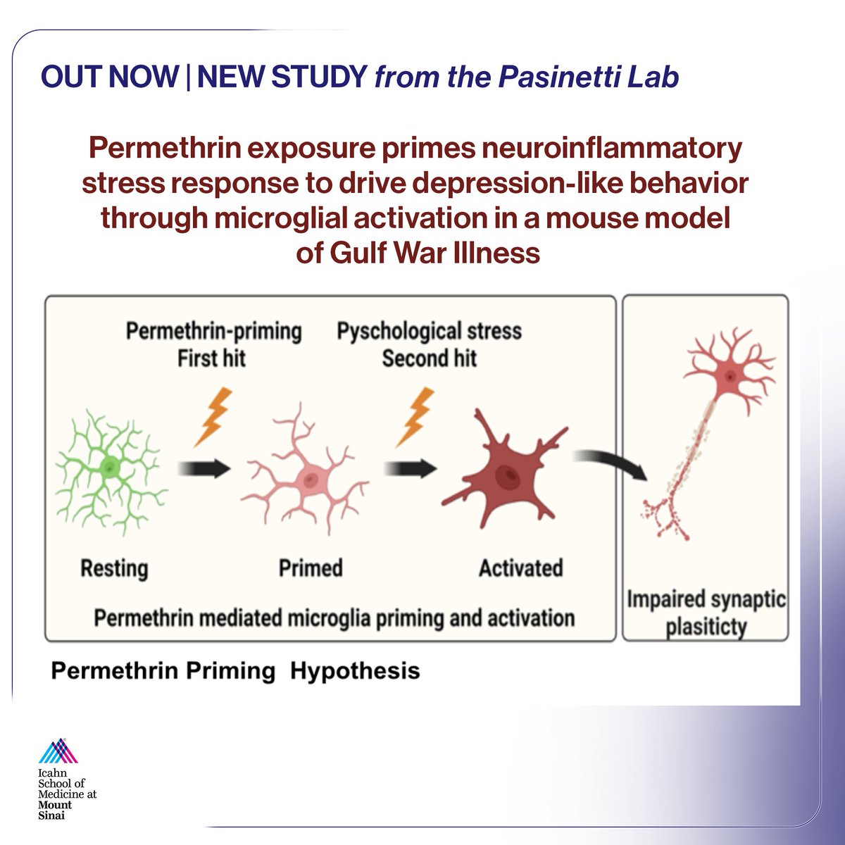 IcahnCMIN's tweet photo. OUT NOW | NEW STUDY from the #PasinettiLab! Here, we sought to evaluate the hypothesis that exposure to toxin permethrin could prime #Neuroinflammatory #Stress response & elicit psychiatric symptoms assoc w/ #GulfWarIllness. Journal of Neuroinflammation 👉 https://t.co/UF5102C1od https://t.co/b7EA9kGy32