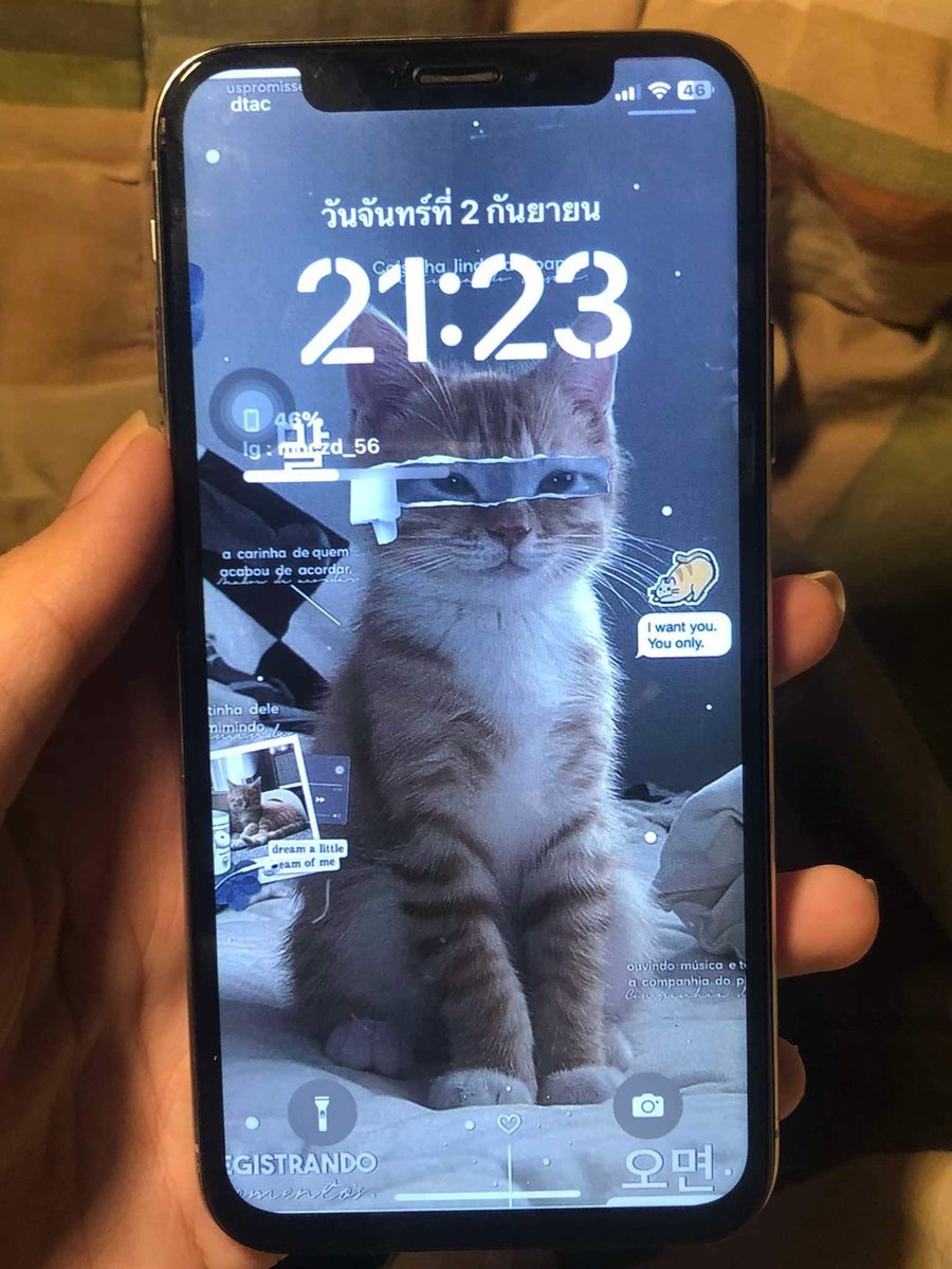 phone06_'s tweet photo. หาแลกค่ะหรือขาย พร้อมนัดรับ กทม อยุธยา 
 i x  เบต้า 100% จุ 64
5000.- จบลด 4500.- 
ตำหนิไม่สแกน จอขนแมวแต่ไม่เยอะค่ะ 
ติดฟิล์ม หน้า - หลัง เรียบร้อย อื่นๆสอบถามได้ #ขายไอโฟน #ไอโฟนมือสองราคาถูก #ฟีดด https://t.co/5G7p9DFV2s