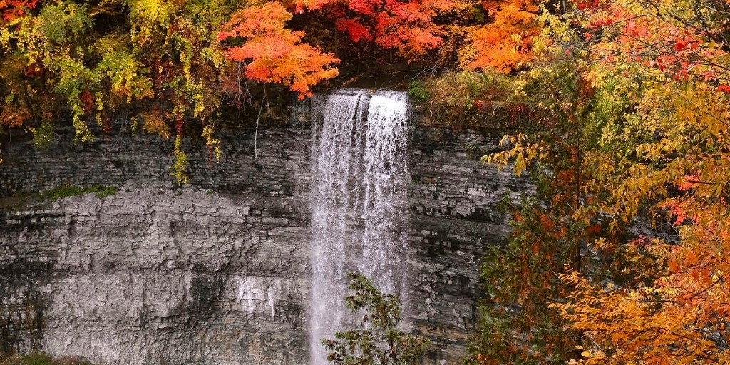 Fall in love with Hamilton this autumn 🍂🍁⁠
⁠
From scenic cideries and local farms to botanical gardens and fall festivals, you can experience the best of the season right here in the city. ⁠
⁠
📸 @reynoldpan⁠

Fall Guide: bit.ly/4gsPZXs