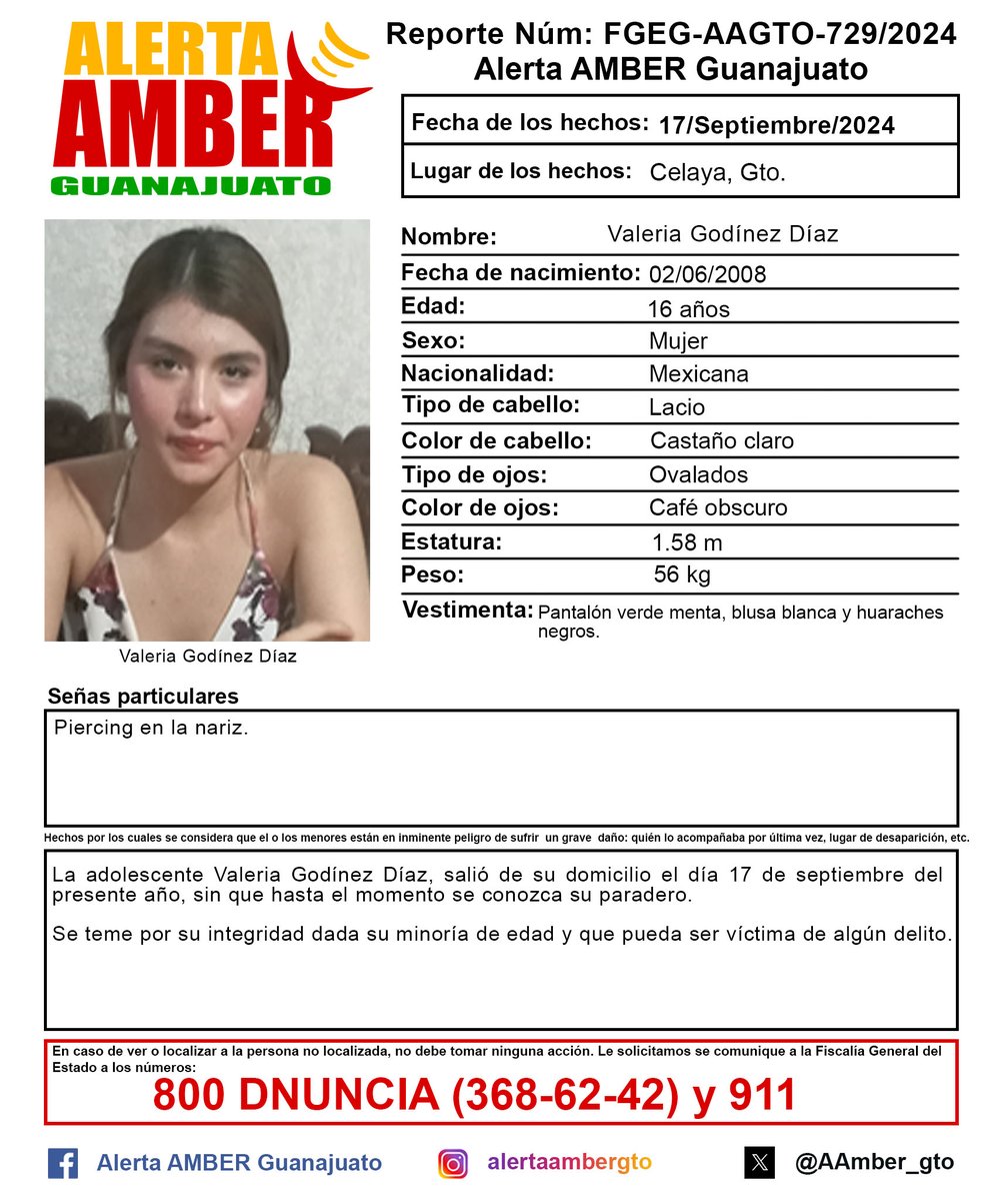 Alerta AMBER GTO. tweet media
