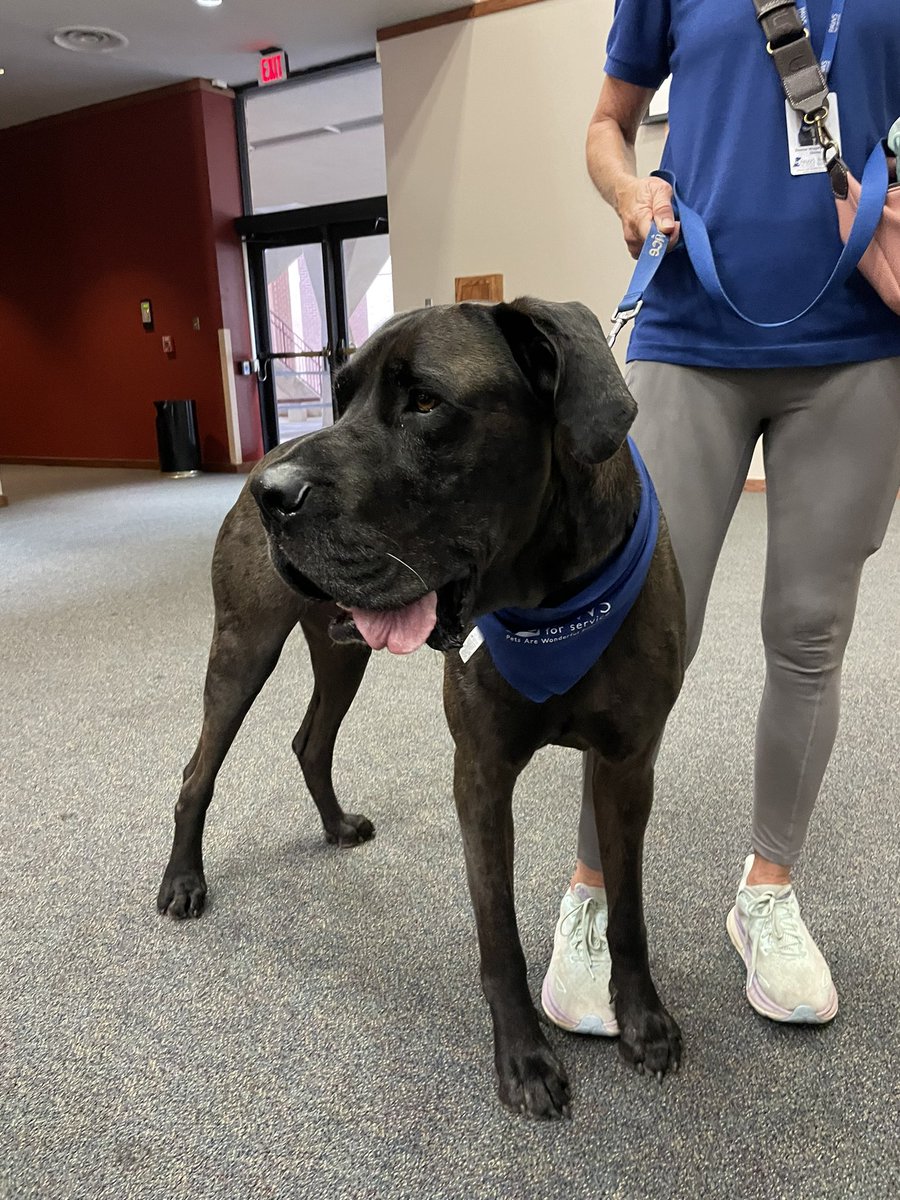 UT Health San Antonio Office of Postdoc Affairs tweet media