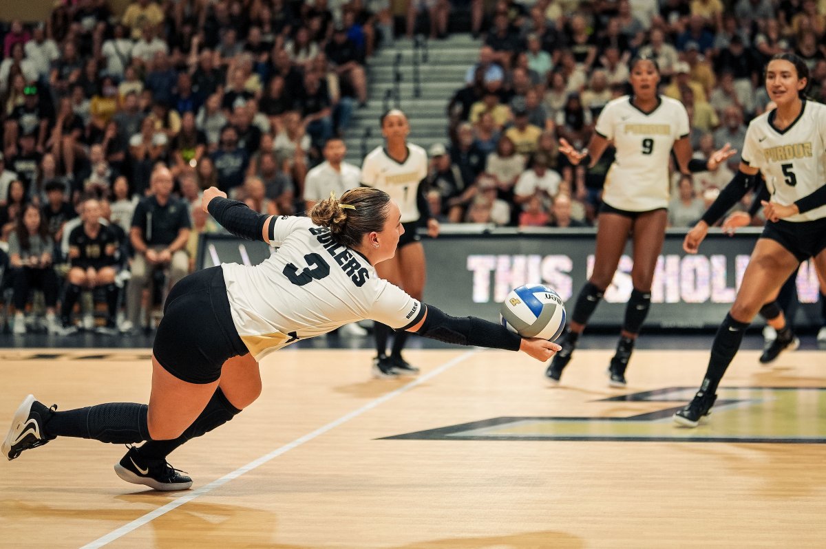 .<a href="/RyanMcAleer_/">Ryan McAleer</a> is a freshman that doesn't play like one. 🔥

The DS has gone perfect in reception % in 6️⃣ of 8️⃣ matches this season, including 1.000% vs. #10 Kentucky.