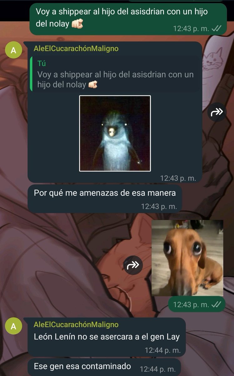 ❄🐰Adrián Vaez de White🐰❄ tweet media