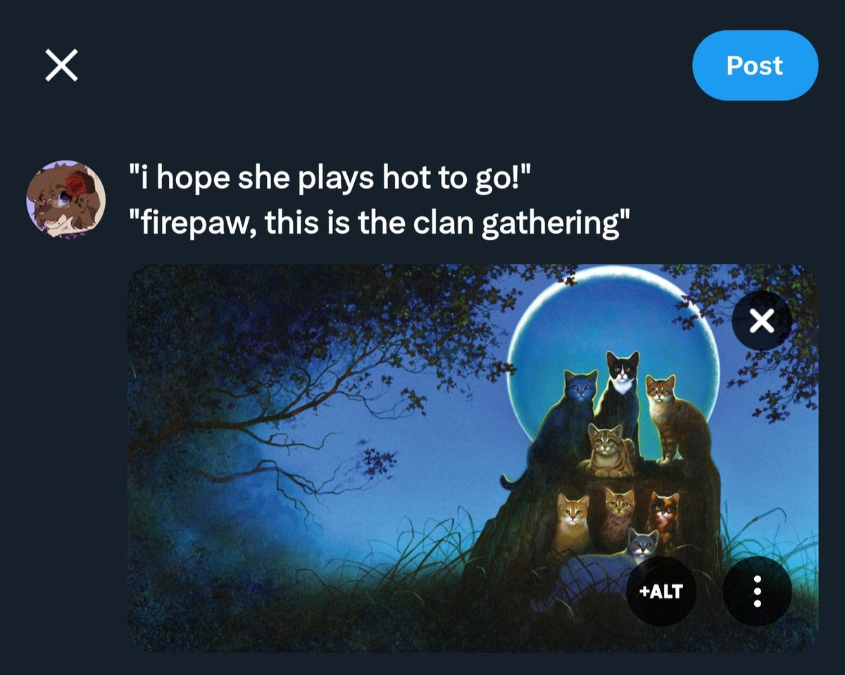 moved to @lunefalls tweet media