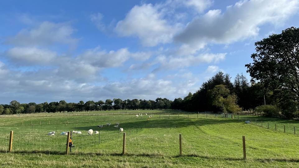 MoredunComms's tweet image. Excited to host our inaugural ‘Regen’ Farming Working Group meeting yesterday. Fortunate to be able to call on an impressive group of &quot;critical friends&quot; with lots of experience in this area. A full meeting report will be published but key takeaways are...🧵1/3
📷@PhoebeacBeal