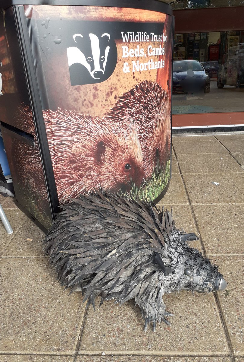 CampbellNaomh's tweet image. Final stop #Werrington @coopuk Great to meet @wildlifebcn at the store (they will be there tomorrow too-go &amp;amp; say hello! 🦔) Fab range of #Fairtrade herbal tea &amp;amp;  chats with members about how they can support #LocalCauses &amp;amp; join in through the app &amp;amp; emails😀coop.co.uk/coop-app