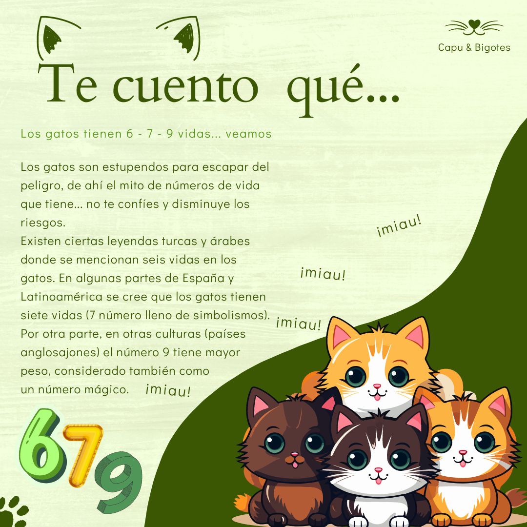 CapuyB's tweet image. 🐱✨ El mito de que los #Gatos tienen más de una vida ha fascinado a la humanidad por siglos. Dependiendo de la cultura, el número de vidas cambia. ¿Cuántas crees que tienen? 🐾 

#Hoy #Mundo #MitosFelinos #CatLovers