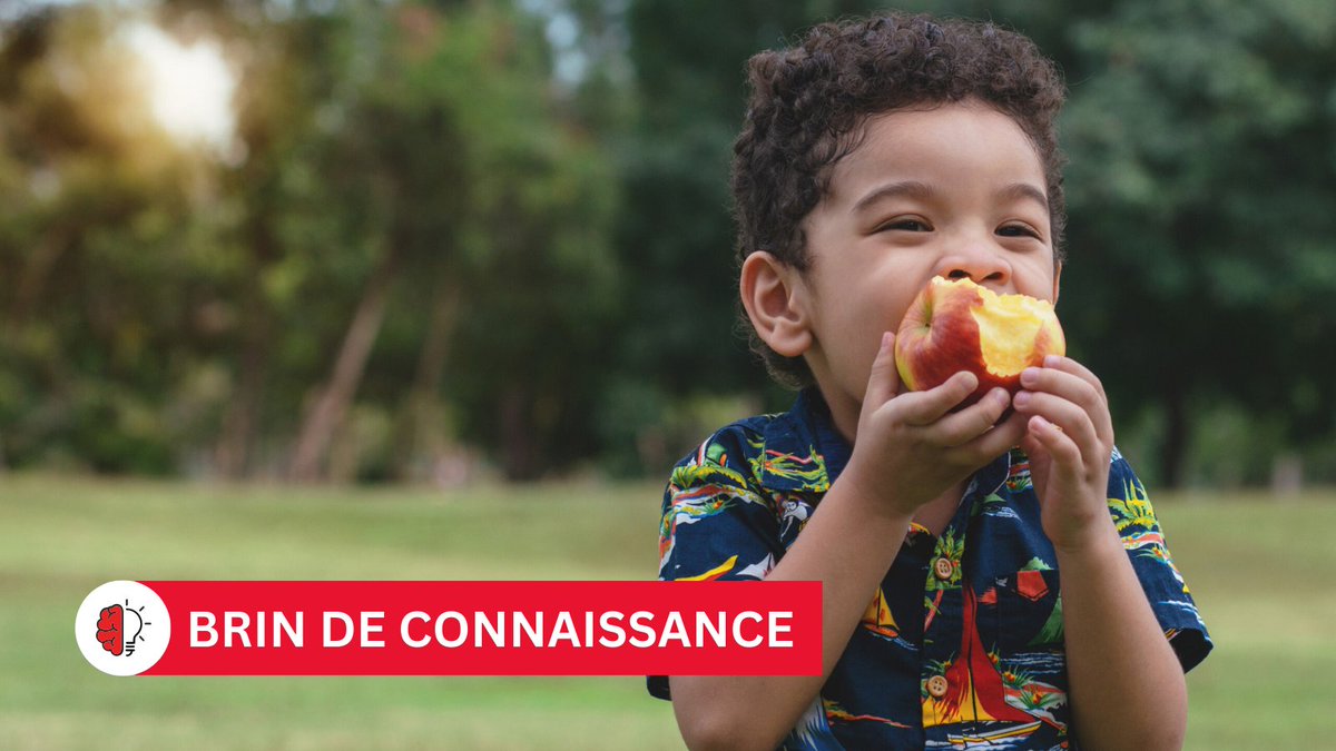 🧠 Les fibres, présentes en abondance dans les fruits et légumes, sont essentielles à la santé mais souvent négligées. Les recommandations préconisent 10 g/jour pour les jeunes enfants et 20 g/jour pour les adolescents.

En savoir plus ➡ bit.ly/3VULGwn