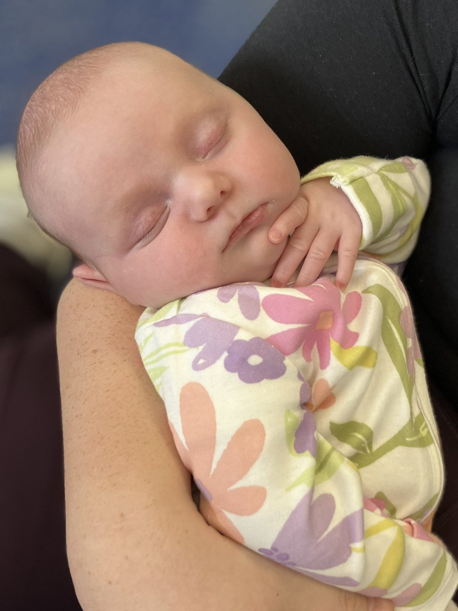 EarlyLifeGroup's tweet photo. 🌸 NEWBORNS 🌸

We really do love this time of year, when we get to meet your gorgeous new babies 👶🏼 how lucky are we to be able to share these early stages of motherhood with you!

#newborns #earlylifegroup #earlyyears #first1001days #frankfield #ffet #ellesmereport https://t.co/JEdGELrXYw