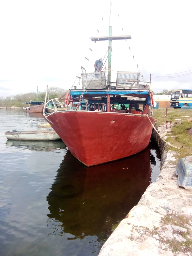 #Pescamat, preparados para seguir con las capturas de la plataforma,seguros que siempre se puede más 
#MinalXMasAlimentos