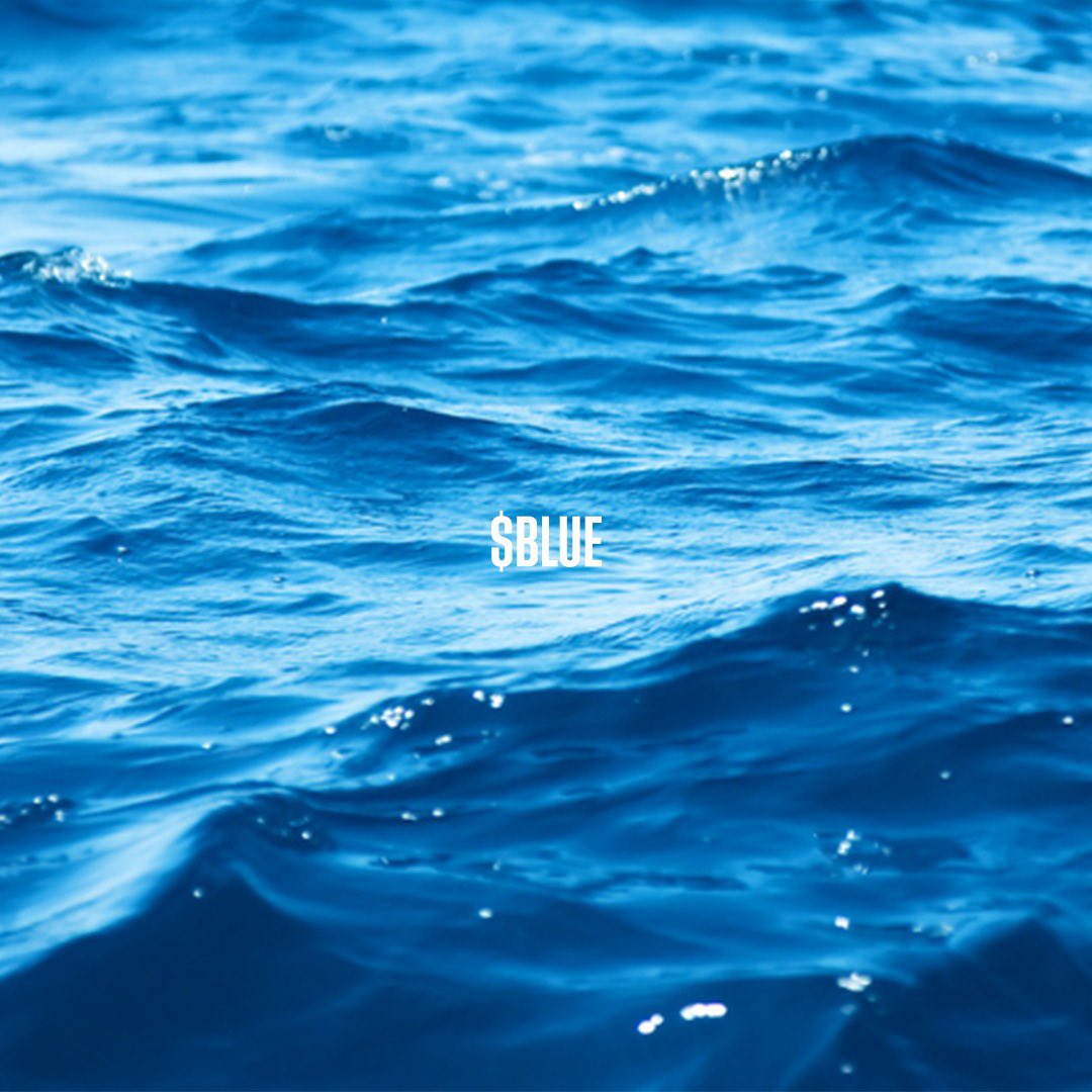 GM 🌊 

sea season is over, Just a reminder that $BLUE season is still getting started.👀