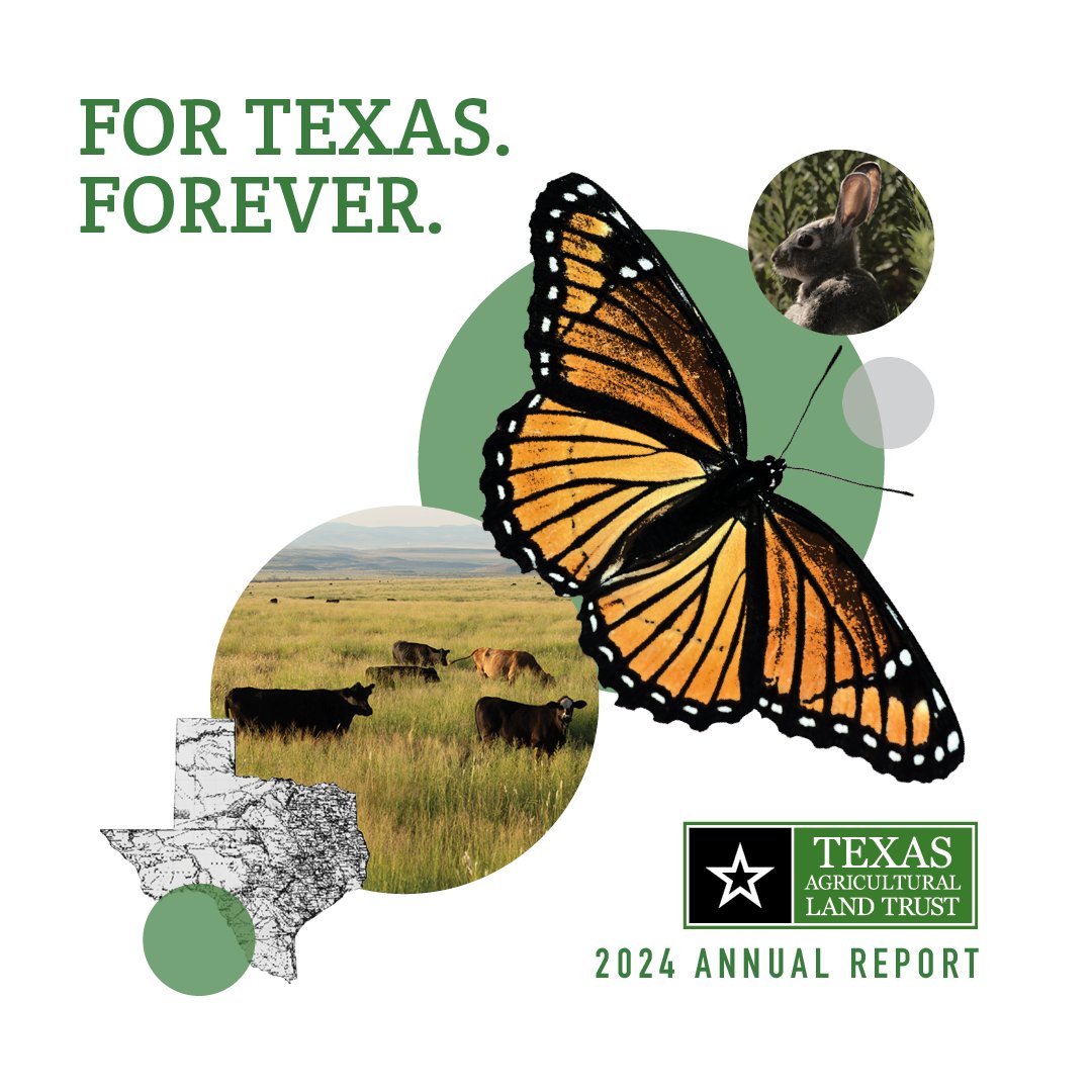 TXAgLandTrust's tweet photo. For more than 15 years, TALT has worked hand-in-glove with Texas landowners across the state to keep Texas, Texas. As the Texas population continues to grow at an unprecedented rate, the urgency of our mission is more vital than ever.https://t.co/cYlSrdtJmW https://t.co/SMdfNQpRPW