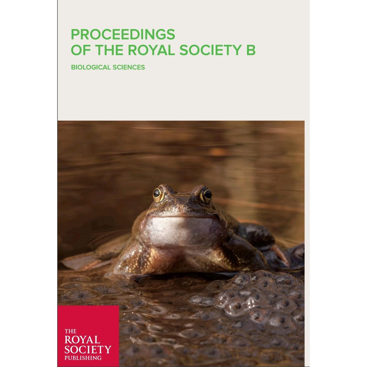 Paula Cabral Eterovick (@paulaeterovick) on Twitter photo It has been an exciting journey into the microbiome world, and today I’m thrilled to see the 1st of many papers come out, including an issue cover at <a href="/ProceedingsB/">ProceedingsB</a>!
Thank you for being with me in this journey <a href="/KRuthsatz/">Katharina Ruthsatz</a>,<a href="/Robin2chmidt/">Robin Schmidt</a>, @JuSabinoPinto, Chen Yang and Sven Künzel! It has been an exciting journey into the microbiome world, and today I’m thrilled to see the 1st of many papers come out, including an issue cover at <a href="/ProceedingsB/">ProceedingsB</a>!
Thank you for being with me in this journey <a href="/KRuthsatz/">Katharina Ruthsatz</a>,<a href="/Robin2chmidt/">Robin Schmidt</a>, @JuSabinoPinto, Chen Yang and Sven Künzel!