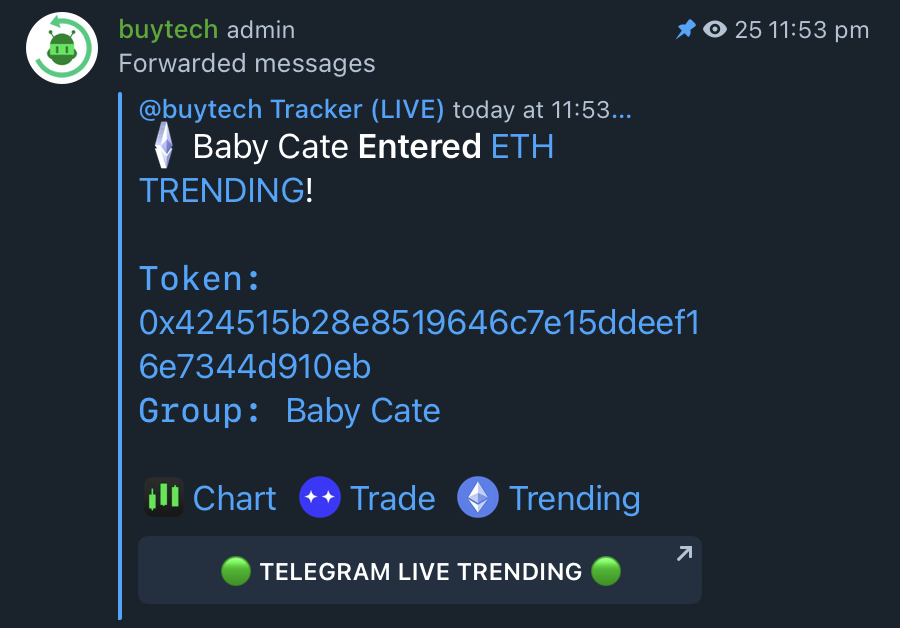 BabyCat_e's tweet photo. Another gift to our community, Marketing #BABYCATE to the masses today. Mama $CATE do you see us? https://t.co/6EMtUbLQjF