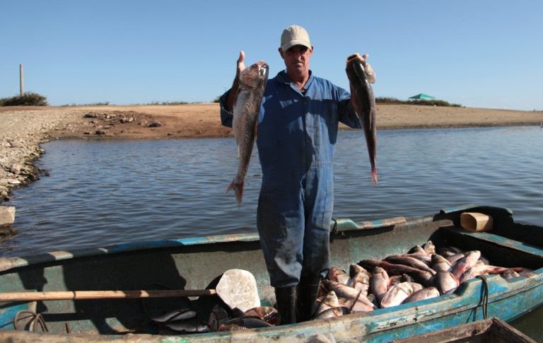 Hoy estaremos al tanto de la <a href="/mesaredondacuba/">Mesa Redonda</a>  que abordará  la actividad de la pesca en nuestro país.
 Las opiniones del pueblo serán muy importantes para nosotros y mañana el grupo empresarial estará dando respuesta a las principales preocupaciones e inquietudes.
