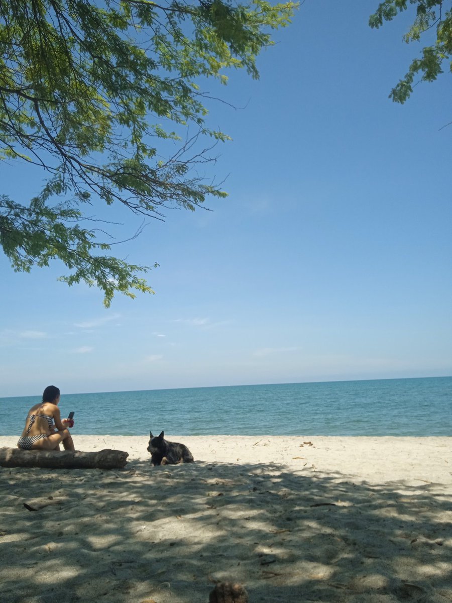 Rica la mañana en salguero