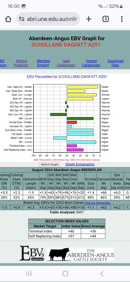 Bull calves starting to shape up, took the chance whilst scanning yesterday to get weights on them. 1.5kg Dlwg average,  1.64kg and 1.51kg for the 2 pictured below.