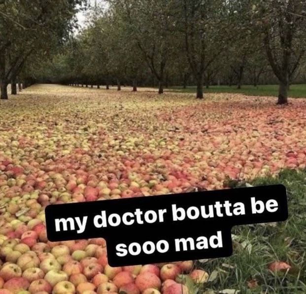 i like food tweet media