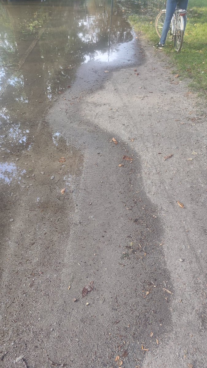 EquesNaturae's tweet photo. Dziś przeczytacie setki wpisów/lansów na Fb, Insta, Tik-Tok ws rzeki #Ślęza jak to ZALEWA Wrocław.
Otóż na Partynicach/Krzyki OPADA, na chwilę odzyskawszy swój naturalny zalew w Parku Klecińskim.
📷3 woda się wycofuje.
#powódź @SiostryRzeki @WolneRzeki @RatujmyRzeki @jacek_engel https://t.co/HNV6qHuldW