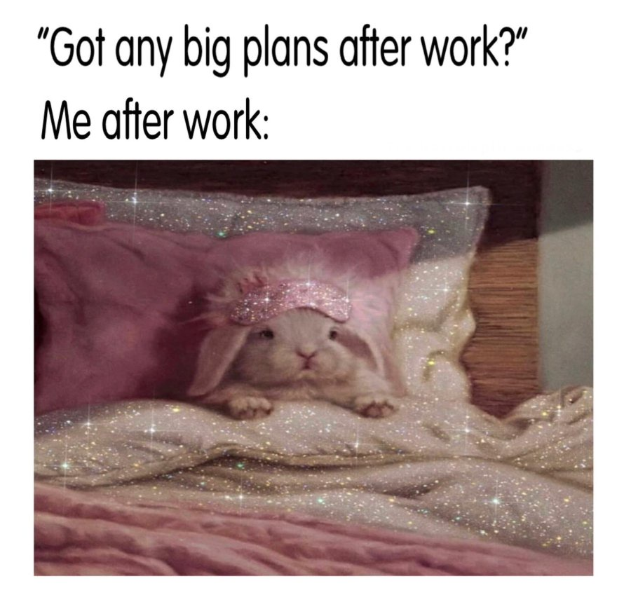 imgur's tweet photo. Binging Buffy and Beauty Sleep 🥱 https://t.co/6JnSpOHke0

#memes #imgur https://t.co/oN4ZftG8nE