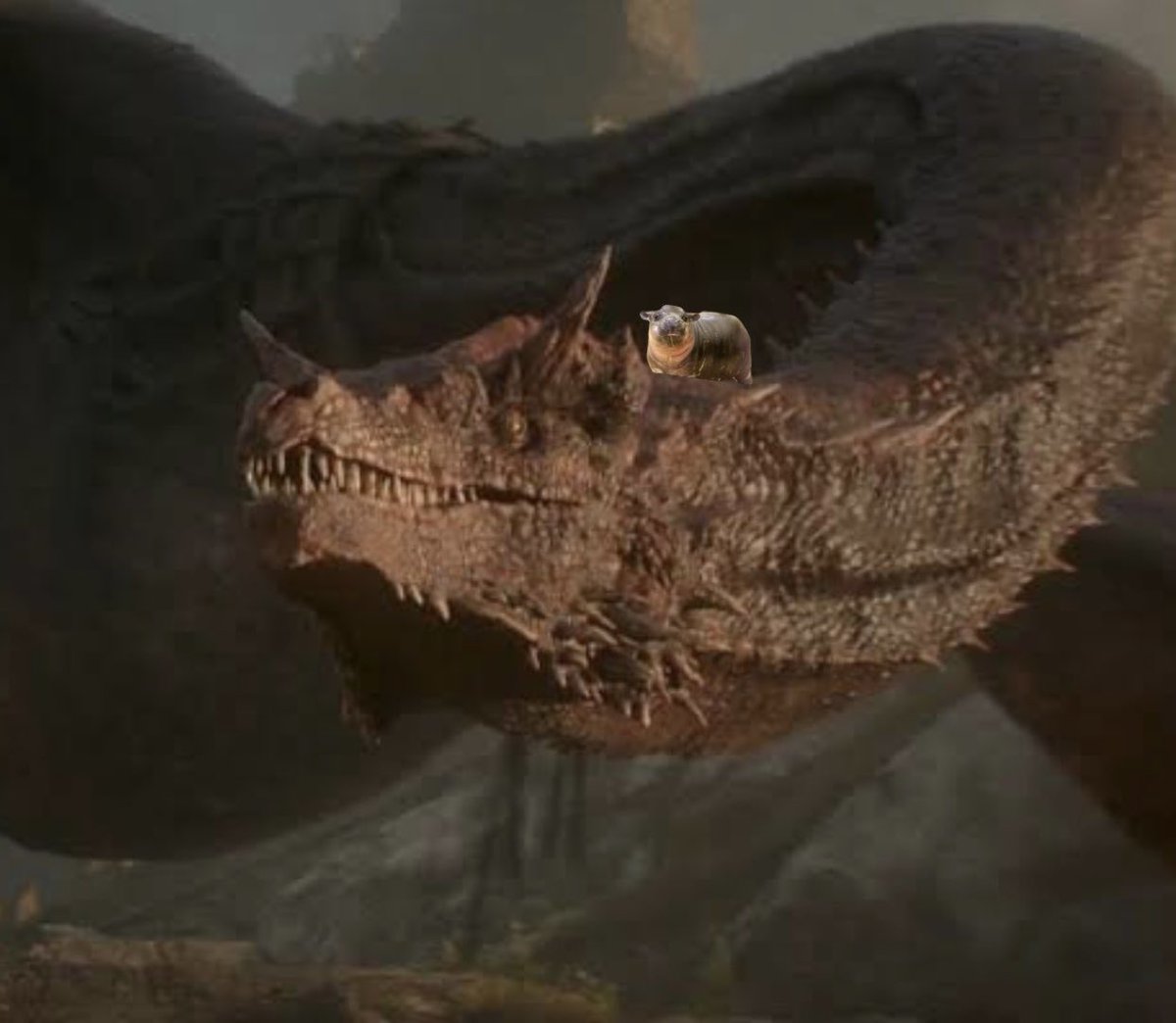 I have taken moo deng to harrenhal