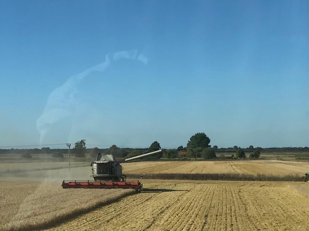 James, our rep in the East Midlands, sent us this sunny field shot—perfect days like this are what it's all about!

#fromthesoilup