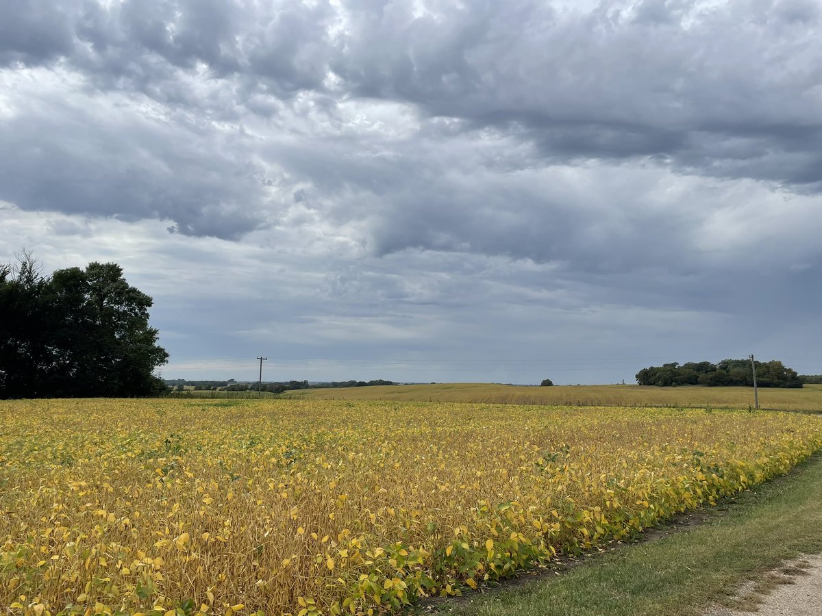 Gretchen Ronnevik tweet media