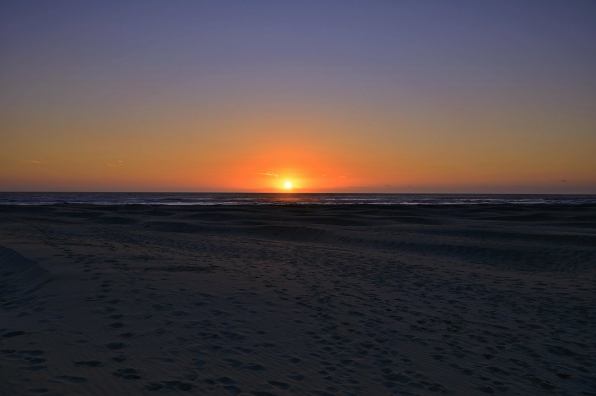wallpaperable's tweet photo. Golden rays over the serene #OregonCoast ☀️ Dive into breathtaking views and raw natural beauty. Trust us, you don't want to miss this! Click the link to explore more. #SunriseMagic https://t.co/NuTfmgPy8k