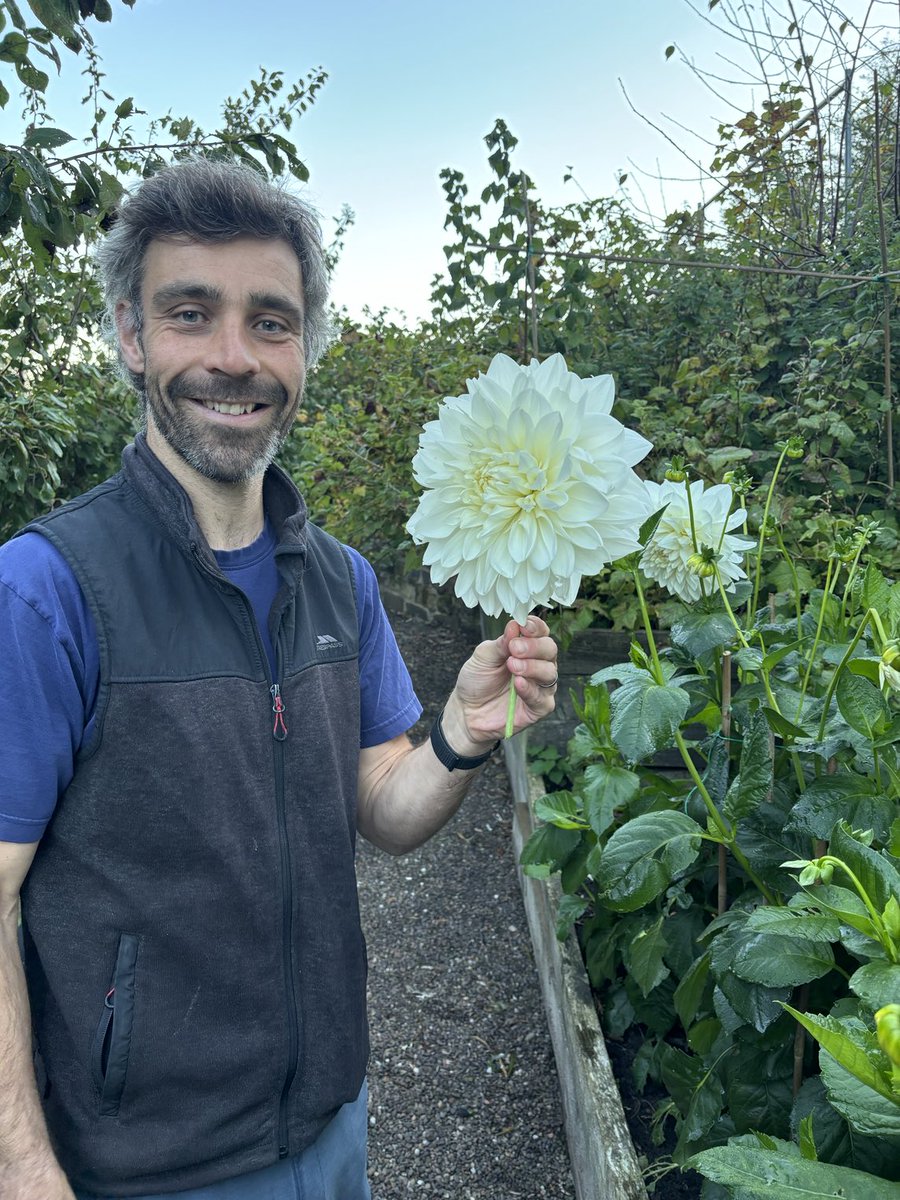 Continibites's tweet image. Looking pretty this morning #delhia #edible #flowers #grownforyou #ContiniKitchenGarden (well done team 🥰) #CannonballRestaurant #TheScottishCafe #ContiniGeorgeSt