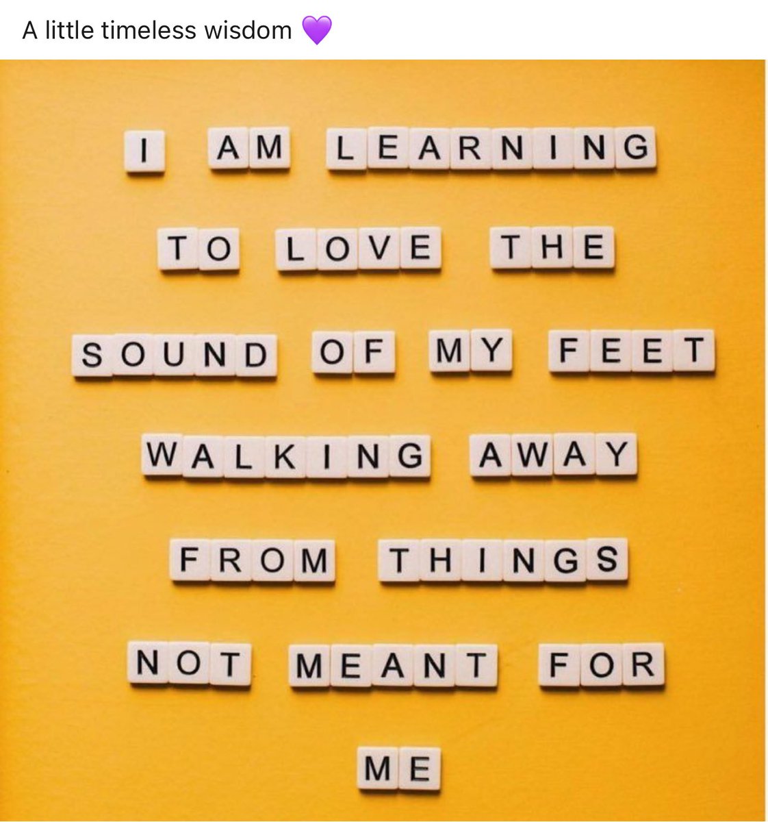 BJ ROGERS (@bijerogers) on Twitter photo 