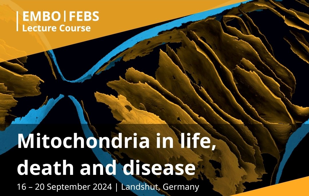 Diegogp097's tweet photo. I’m very much enjoying the #EMBOmitochondria conference, learning from exceptional speakers and discussing my work at the poster session. Thank you @EMBO @FEBSnews for the travel grant and to my supervisor, @auroradevea, for her support in making this possible. https://t.co/wgtq1pLEQC
