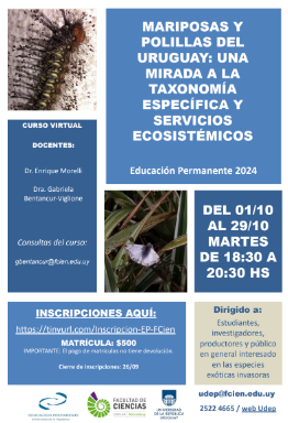 eduperfcien's tweet photo. Estimad@s,  Están abiertas las inscripciones para la pasantía  EP "MARIPOSAS Y POLILLAS DEL URUGUAY: UNA MIRADA A LA TAXONOMÍA ESPECÍFICA Y SERVICIOS ECOSISTÉMICOS".  INSCRIPCIONES: https://t.co/0op32MVTkX…………hasta el 26 de setiembre. Matrícula: $500 .  Adjuntamos más info. https://t.co/8NcqlqIFv5