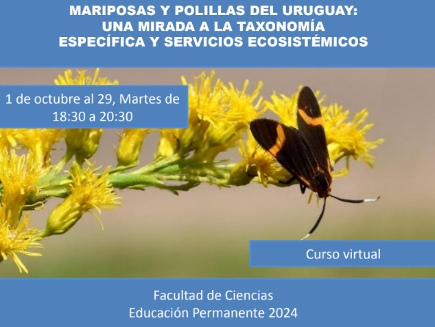 eduperfcien's tweet photo. Estimad@s,  Están abiertas las inscripciones para la pasantía  EP "MARIPOSAS Y POLILLAS DEL URUGUAY: UNA MIRADA A LA TAXONOMÍA ESPECÍFICA Y SERVICIOS ECOSISTÉMICOS".  INSCRIPCIONES: https://t.co/0op32MVTkX…………hasta el 26 de setiembre. Matrícula: $500 .  Adjuntamos más info. https://t.co/8NcqlqIFv5