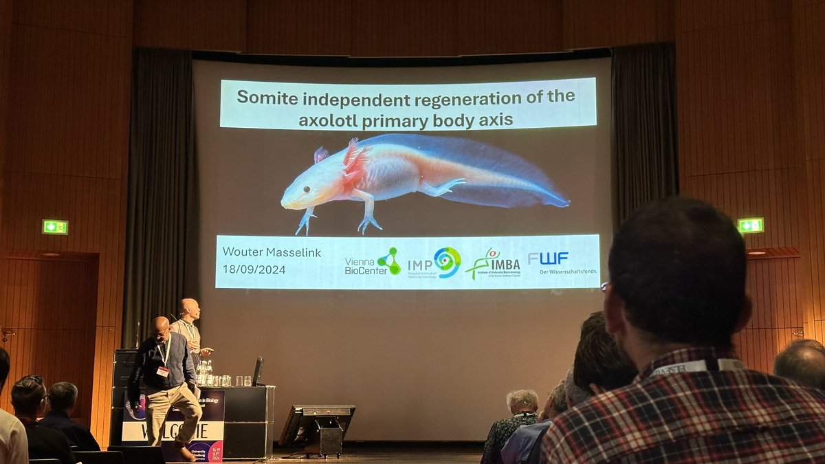 A. Sánchez Alvarado tweet media