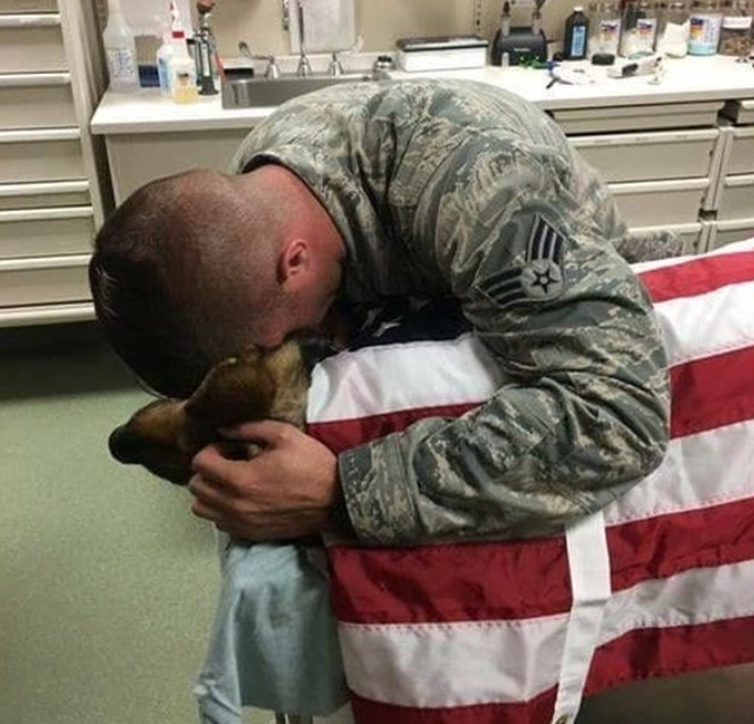 Beyond_theleash's tweet photo. Please don't swipe past without sending him some love and prayers!🥹❤ https://t.co/nuNg015jfo