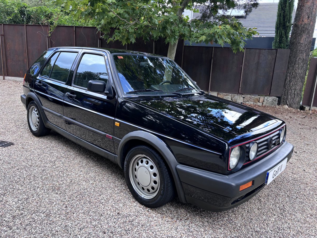 Alex Adalid tweet media