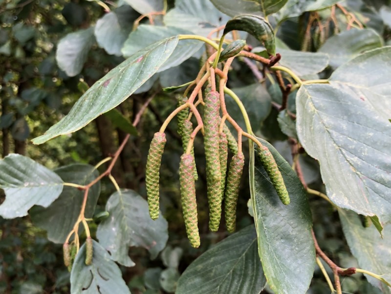 Rockingham Forest Vision tweet media