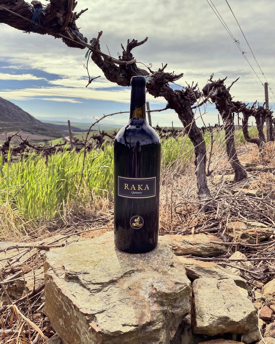 Enjoying the beautiful views of our farm while sipping on our famous, award winning Quinary Bordeaux style blend 🍷

#rakawine #visitstanford #winelovers #coolclimatewines #SAwine #kleinriver #Overberg