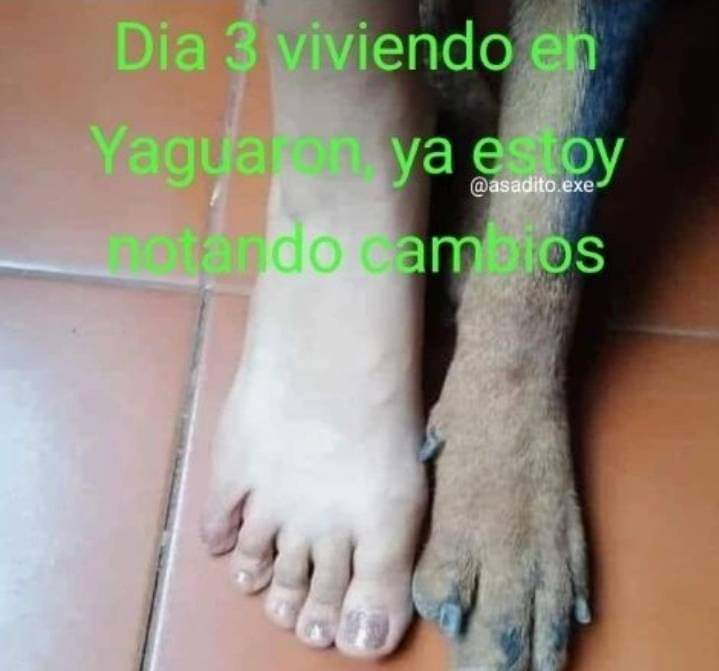 Soy un hombre simple con el humor simple