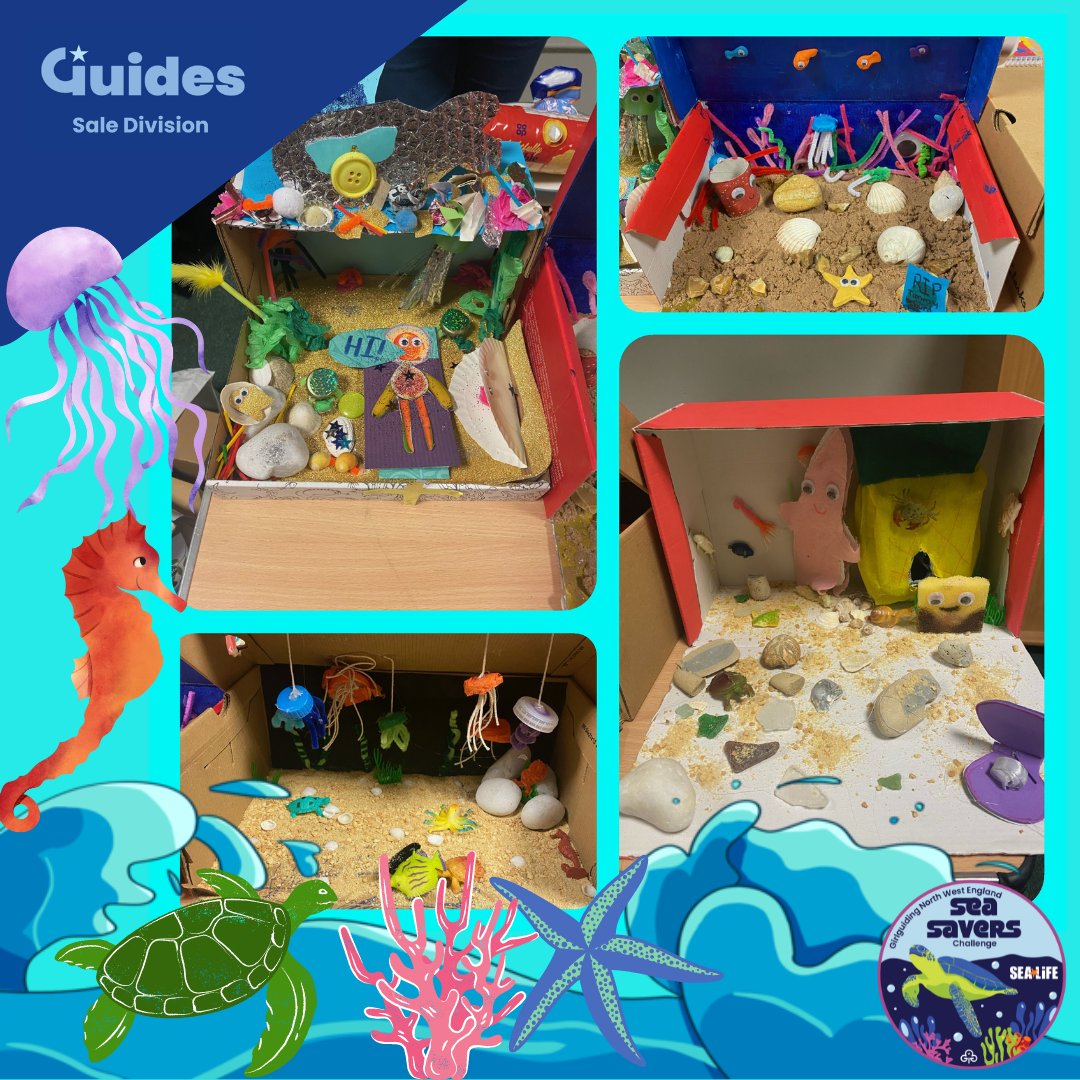 1st Ashton-on-Mersey South Guides have been making ocean scenes out of shoeboxes. 

They are currently working towards their <a href="/Girlguiding_NWE/">Girlguiding North West England</a> Sea Savers badge challenge!

They turned out amazing!

🐳🐋🐬🦭🐟🐠🐡🦈🐙🦀🦞🦐🦑🐚🪸🪼

<a href="/Girlguiding/">Girlguiding</a> 
<a href="/GirlguidingGMW/">Girlguiding GMW</a>