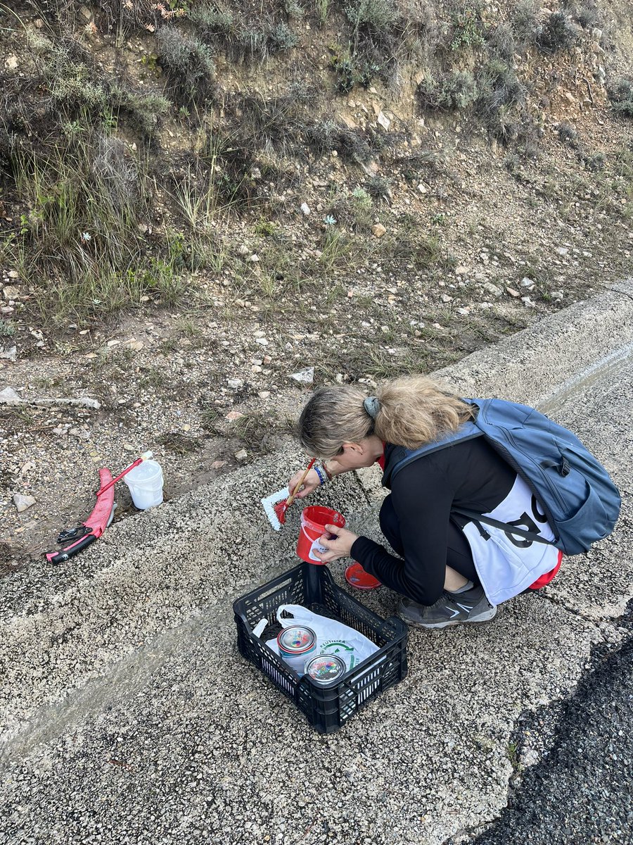 Josep Moragas Pages tweet media