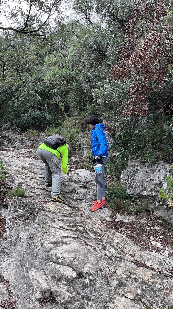 Josep Moragas Pages tweet media