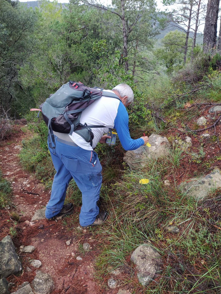 Josep Moragas Pages tweet media