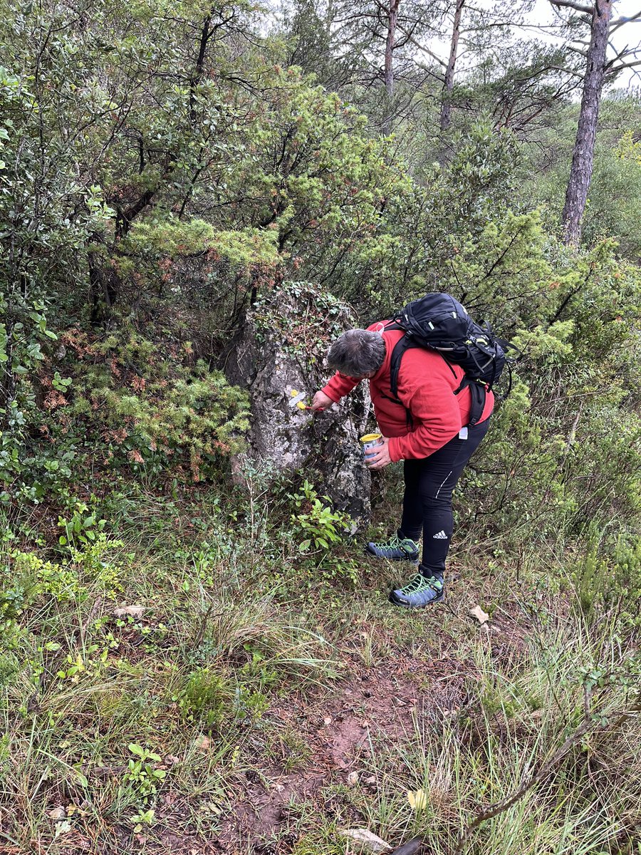 Josep Moragas Pages tweet media