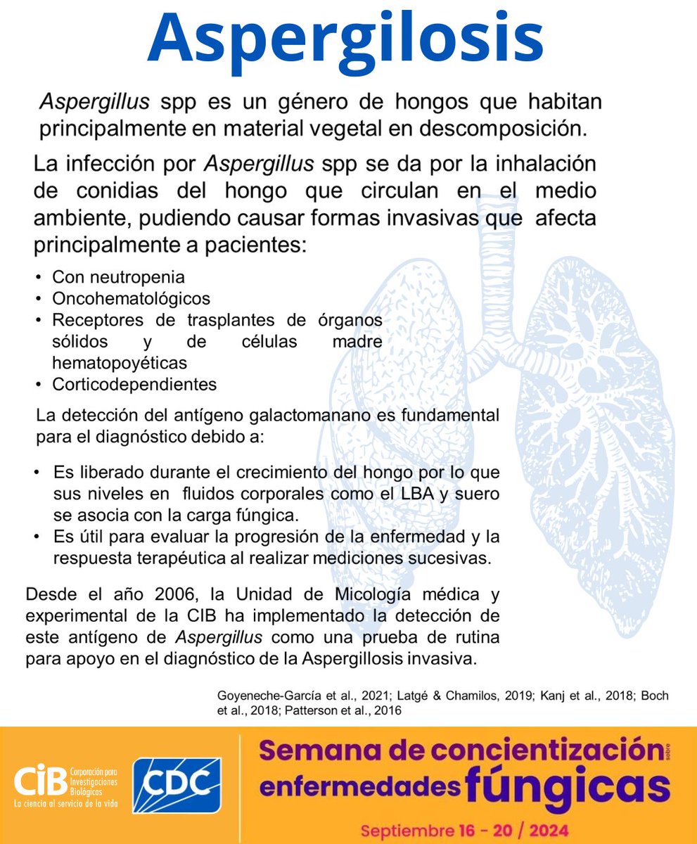 ¿Sabías que? el #Aspergillusspp es un género de #hongos que encontramos comúnmente en material vegetal en descomposición. Aunque la mayoría de las personas están expuestas a ellos diariamente sin consecuencias, en ciertos casos, pueden causar infecciones graves.