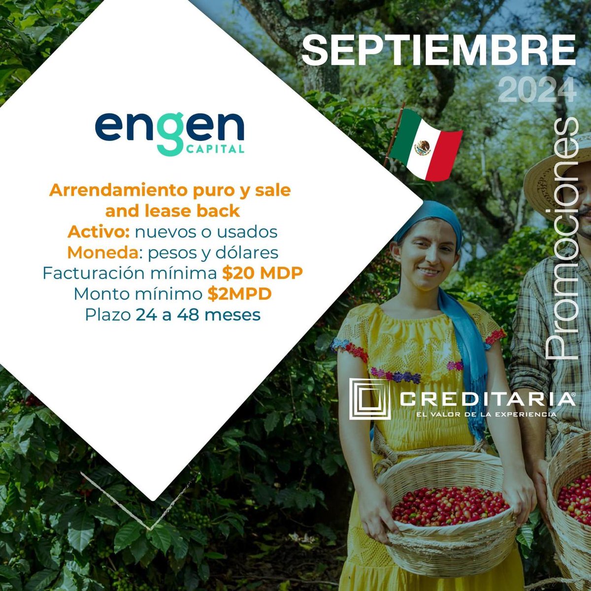It3sPromotores's tweet photo. Impulsa tu negocio, sin límites!!! 🤭
En Creditaria IT3S te ayudamos a lograrlo 🤝🏻

Contáctanos!!!
#IT3S #esmasdeloqueimaginas
#creditopyme #engen https://t.co/KctGAjE1CO